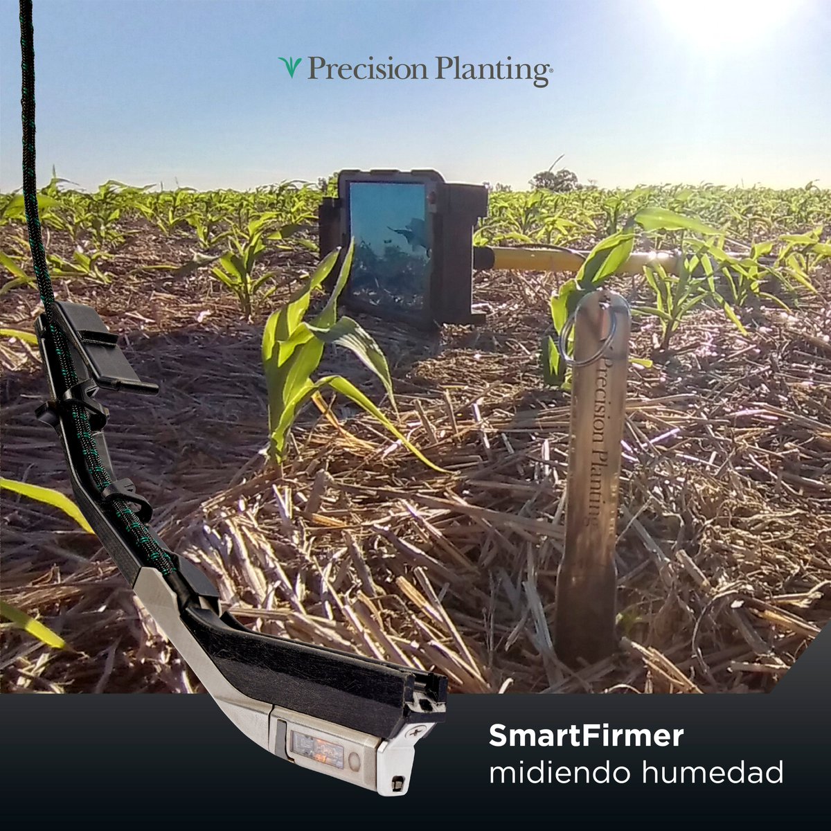 PPlantingARG's tweet photo. HUMEDAD EN SIEMBRA

La Humedad es uno de los factores clave en la germinación de la semilla. 

Una semilla de maíz requiere absorber un 30% de su peso en agua para comenzar el proceso de germinación. https://t.co/dAEioQsLq8