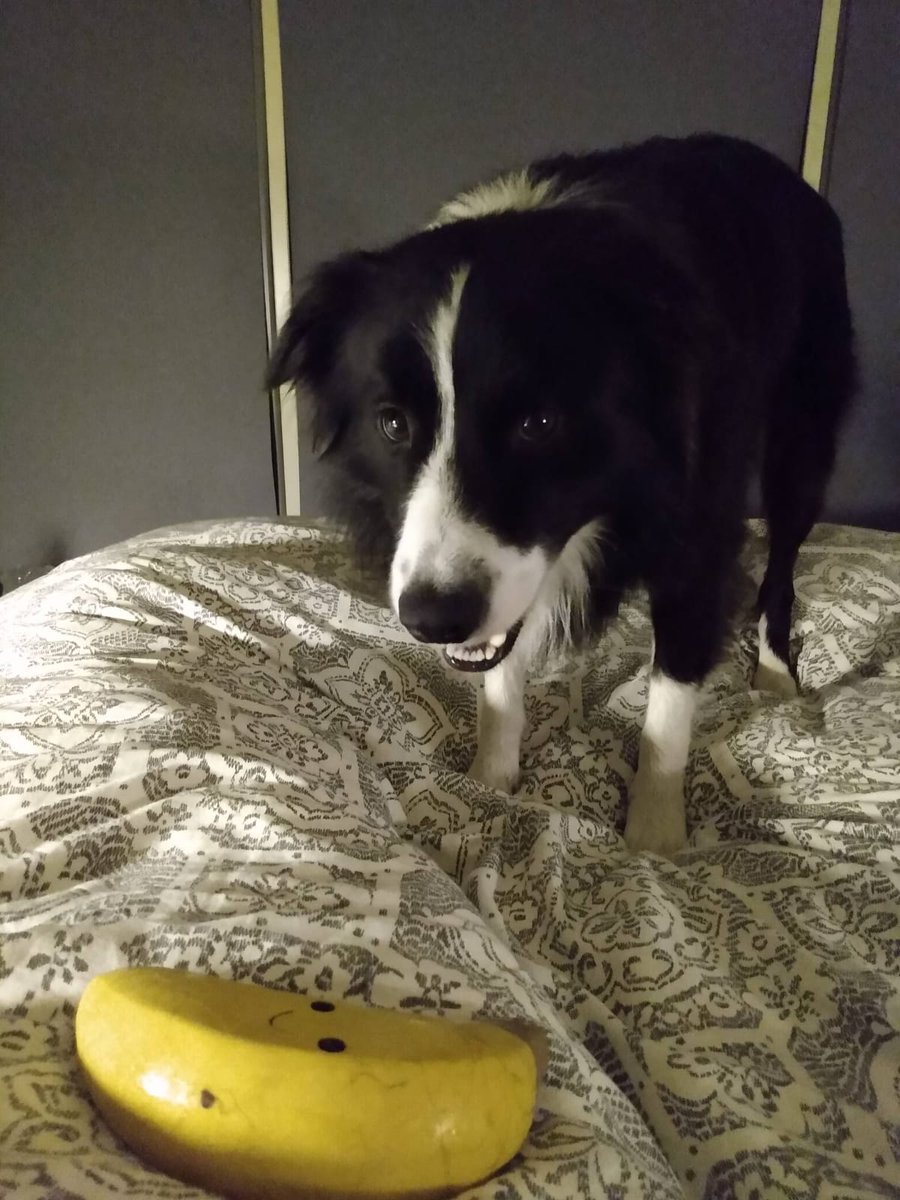 Jonathan Rew-Dixon tweet media