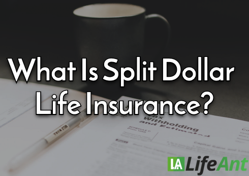 What Is Split Dollar Life Insurance?
lifeant.com/split-dollar-l…