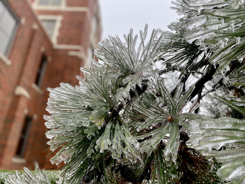The Bethany campus and offices will be closed and all traditional classes canceled until Monday 11/2 at 8AM. 
-
All PGS classes at Bethany and Del City campuses will be moved to virtual until 11/2. Tulsa campus classes will continue as normally scheduled.
-
#snu1899