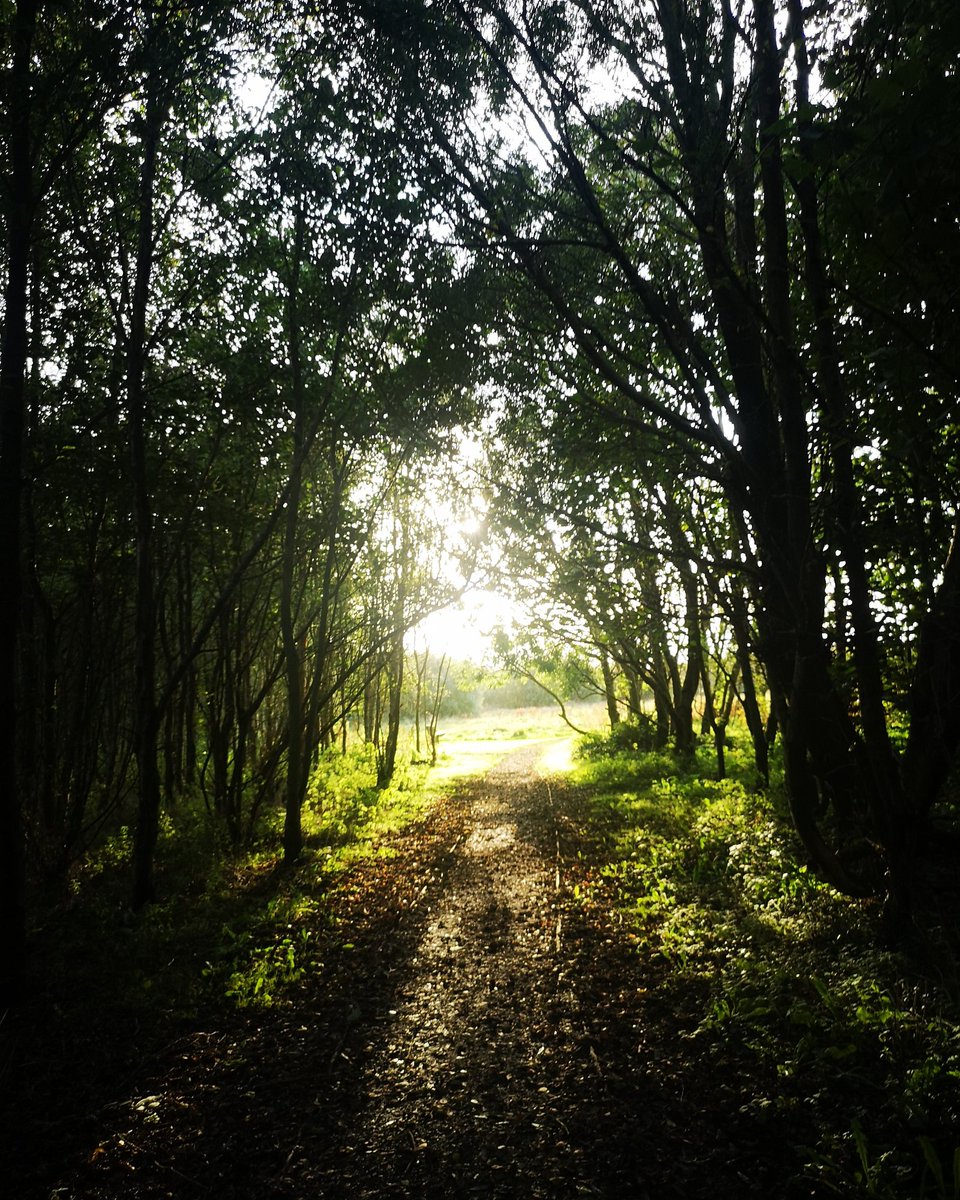 Let's Talk Holyhead tweet media