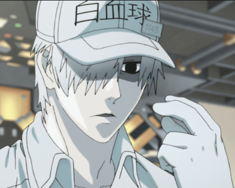 a new thread related to my last tweet to show you all how pretty the characters from CaW are first, we have white blood cell 10/10 very pretty his smile is a blessing and he is lovely and a softie for rbc love him