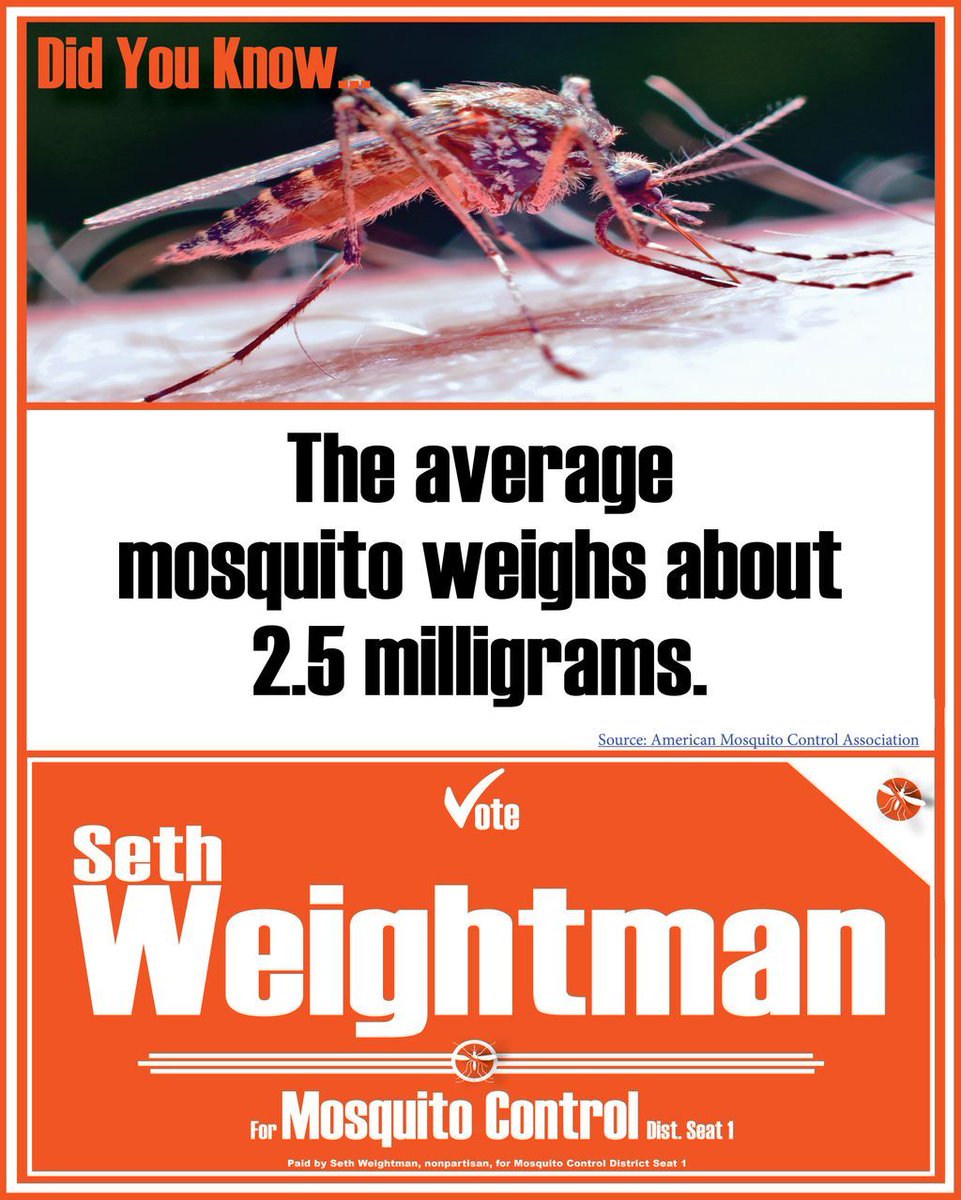Seth Weightman tweet media