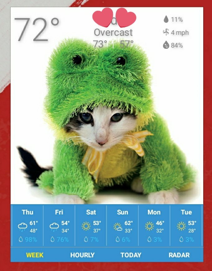 missnadja's tweet image. If you're not using the @WeatherKitty app, why not?! Look how cute these Halloween kitties are!