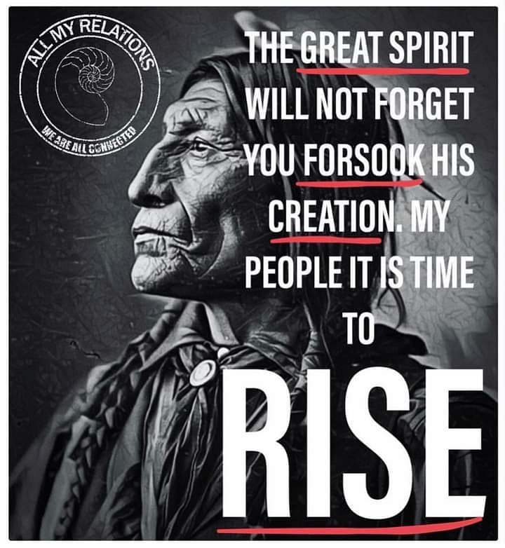 BabeIndigenous tweet picture