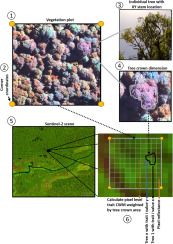 New pub out in Remote Sensing of Environment with <a href="/greg_asner/">Greg Asner</a> &amp; <a href="/robinmartin422/">Roberta (Robin) Martin</a> on modelling global tropical forest functional traits using Sentinel 2 #remotesensing data: bit.ly/31axLoN
