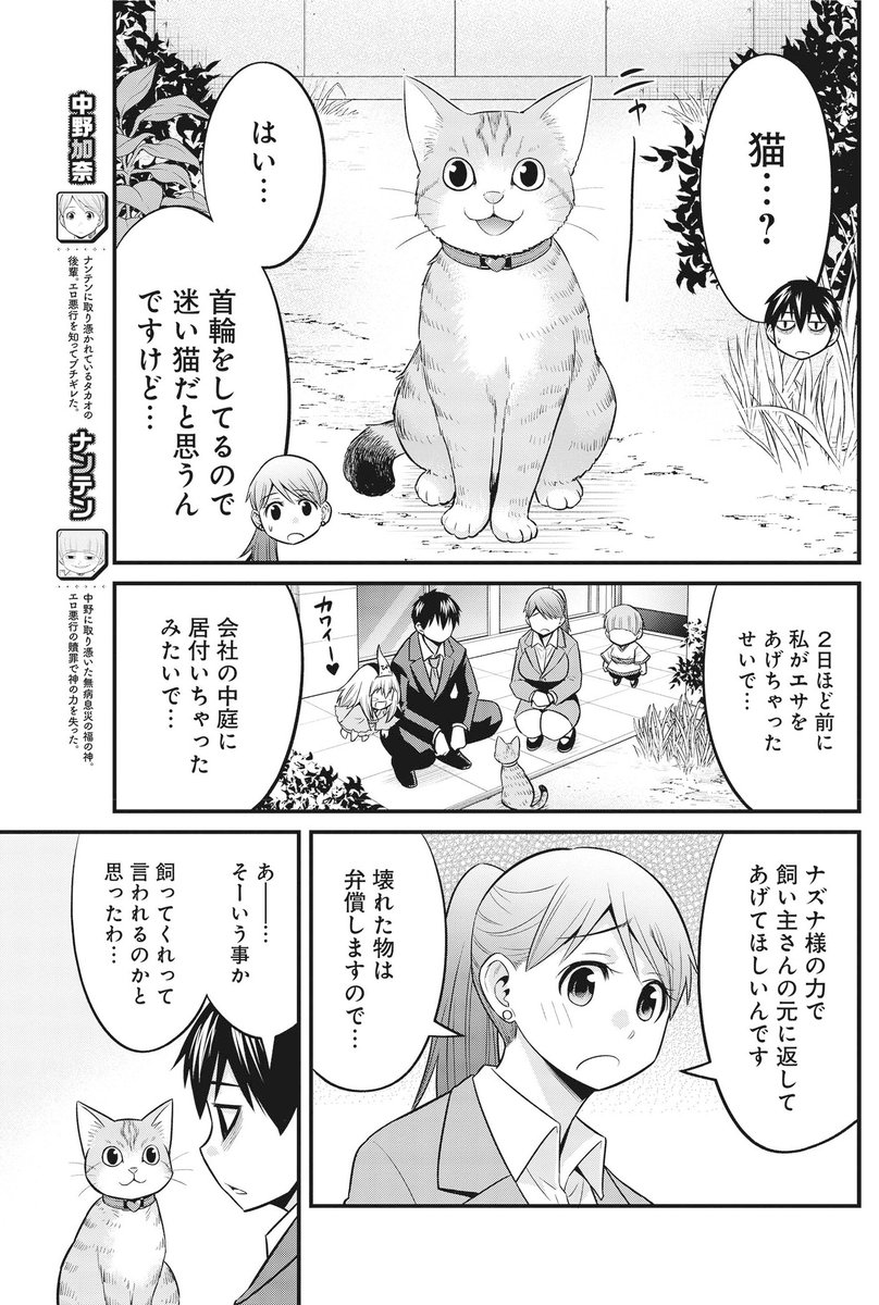 本日ヤンジャン発売日です。「貧々福々ナズナさま!」第46話[迷い猫]載ってます!最近は猫を外飼いする人ってあんまりいないと思うので、外で首輪をした猫ちゃんを見ると不安になります。
それはそうと11月に4巻発売しますのでよろしくお願いします!→https://t.co/OmlOd0tdMg
#貧々福々ナズナさま! 