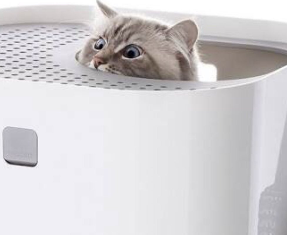 I honestly can’t stop laughing at this one