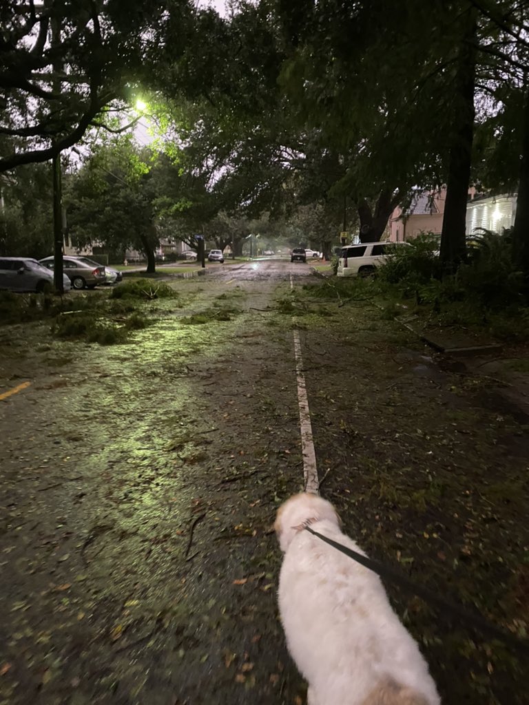 queorky's tweet photo. @MargaretOrr https://t.co/M7UqpG8GN3