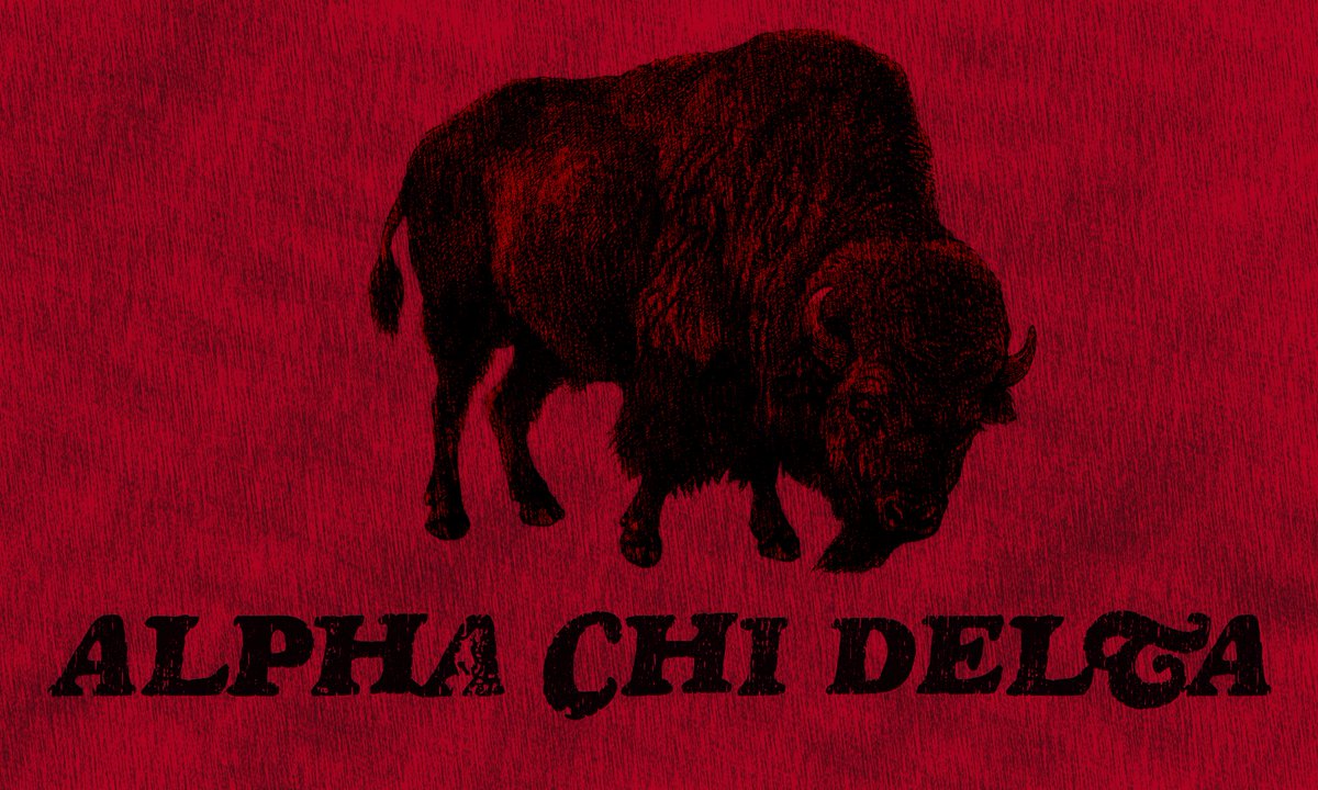 theethancurtis's tweet photo. Rush Chi🙆🏽‍♂️ @LCU_AXDelta https://t.co/lt4QLlDfLU
