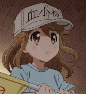 platelet10/10 they are all absolutely adorable but she's the main so she gets her own two pics and an image ft wbc bc <3 they are all experts at walking down stairs very proud of their walking down stairs ability they did great
