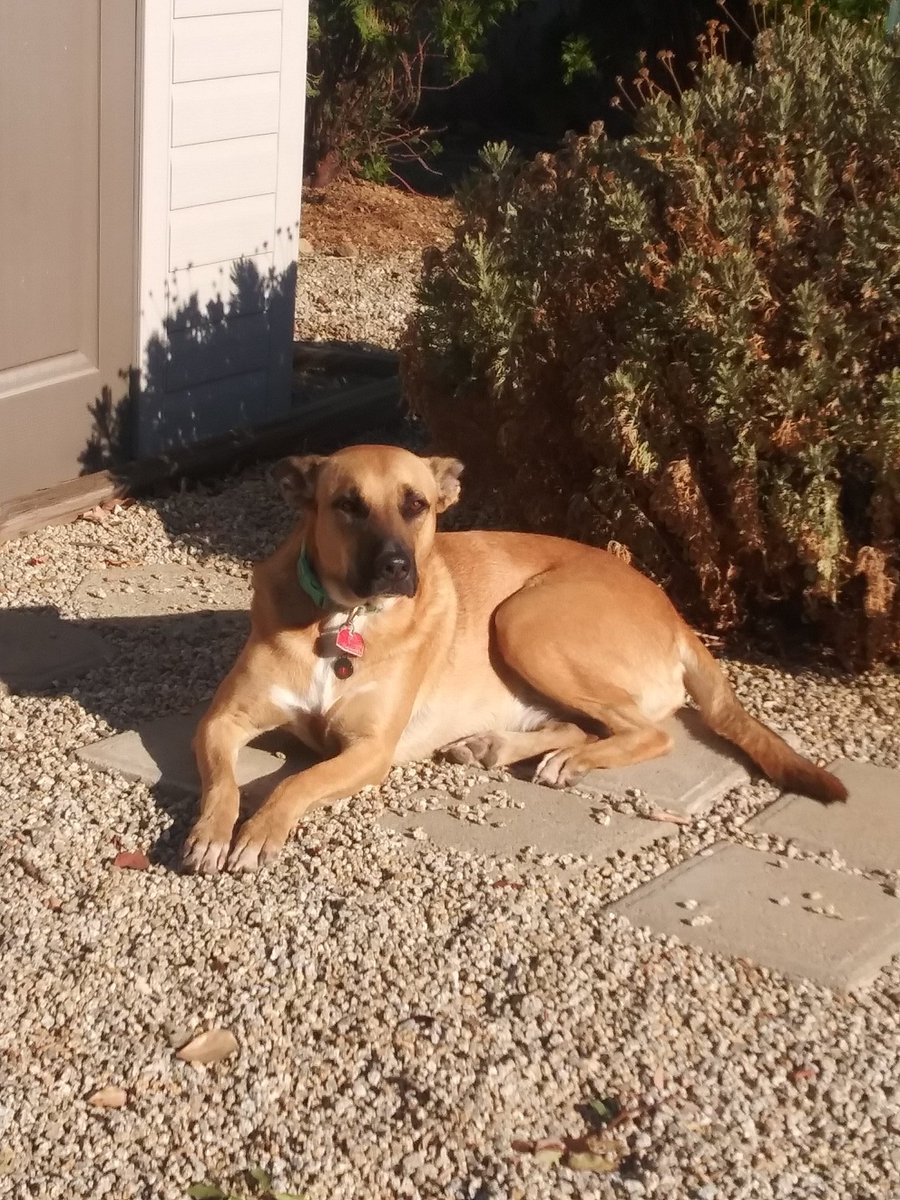 𝚁𝚢𝚘𝚞 𝙱𝚊𝚔𝚞𝚛𝚊 (@softhostryou) on Twitter photo 