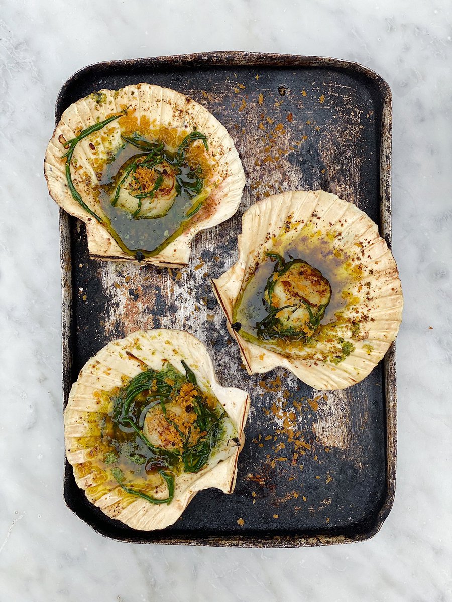 Wood roast scallops <a href="/jamieoliver/">Jamie Oliver</a> #babingtonhouse