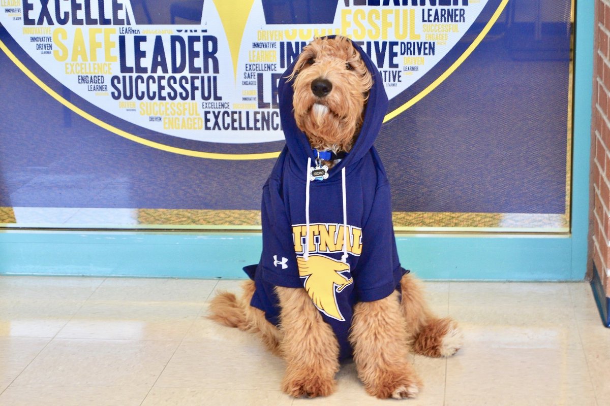 WhitnallSchools's tweet photo. Officer Susie has been busy training Whitnall's new therapy dog. Thank you to the Greenfield Police Department for the adorable addition! Everyone, meet Gizmo! https://t.co/2KBaNaQea2