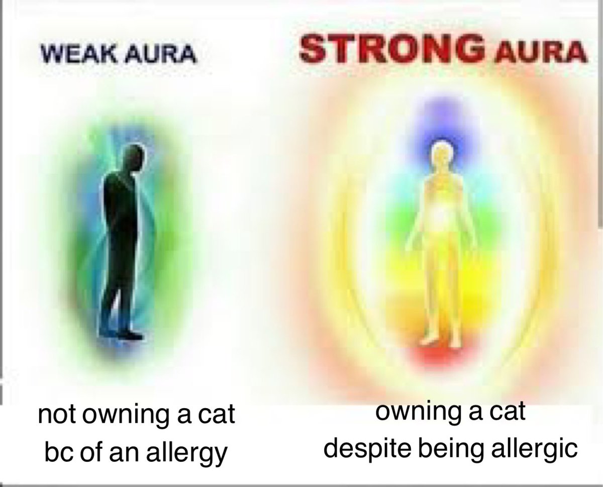 _megmckenzie's tweet photo. I literally get allergy shots to keep her https://t.co/UozhM3nwRf
