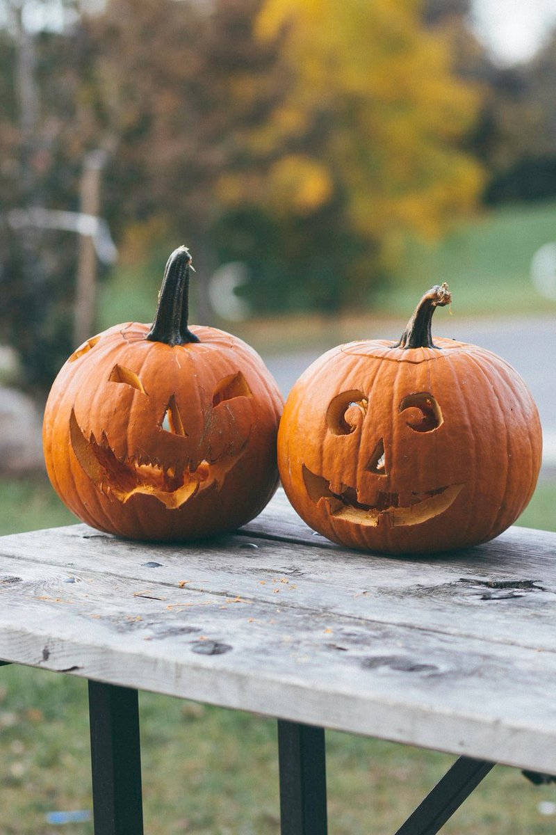CenTxAngels's tweet photo. Boo! Here are 15 ways to make Halloween more FUN for Seniors this year! https://t.co/CgJt3IPkAO  #Halloween #centralTX https://t.co/JuKr08eRVm