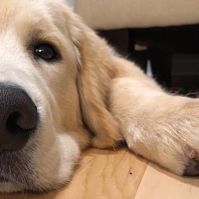 tuzluleblebii (@tuzluleblebii_) on Twitter photo 