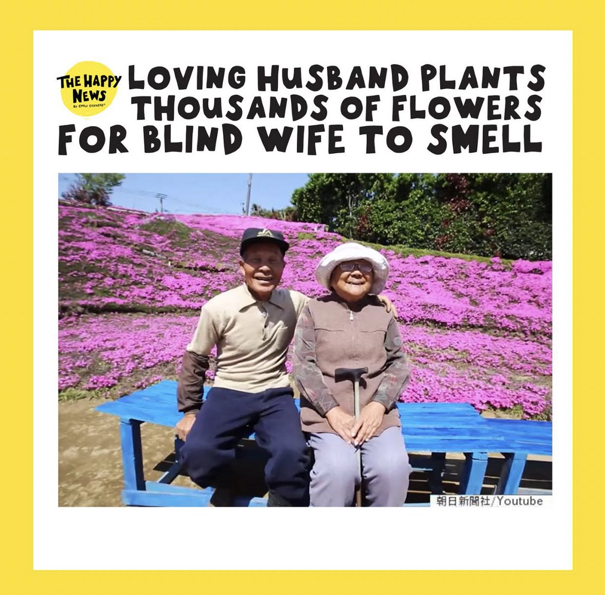 HappyNewspaper_'s tweet photo. An oldie but a goldie 💛💐🌸🌺 https://t.co/3YV08pfEX3 https://t.co/w170RxwkkV