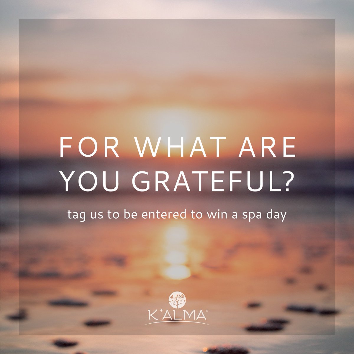 MissMiamiSpa's tweet photo. We invite you to share a photograph of what you are grateful for between now and November 24. 

A celebrity photographer will select one winning photograph. The winner will receive a one-night stay, spa day and dinner.

(530) 534-5555

#kalmaspas  #grateful https://t.co/chVZJe7Ys9