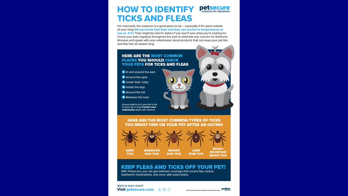 BC_SPCA's tweet photo. As you enjoy your autumn adventures, remember to keep a look out for little ticks & fleas on pets. Our friends at @Petsecure have some helpful tips for fleas & ticks that we thought we would share! #BCSPCA #Petsecure #Fleas #Ticks https://t.co/FgUXNxwzvo