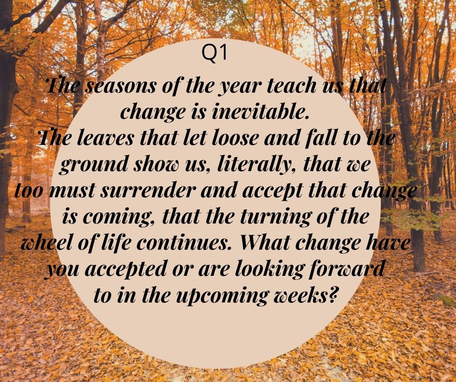 Jones Academy AISD tweet media