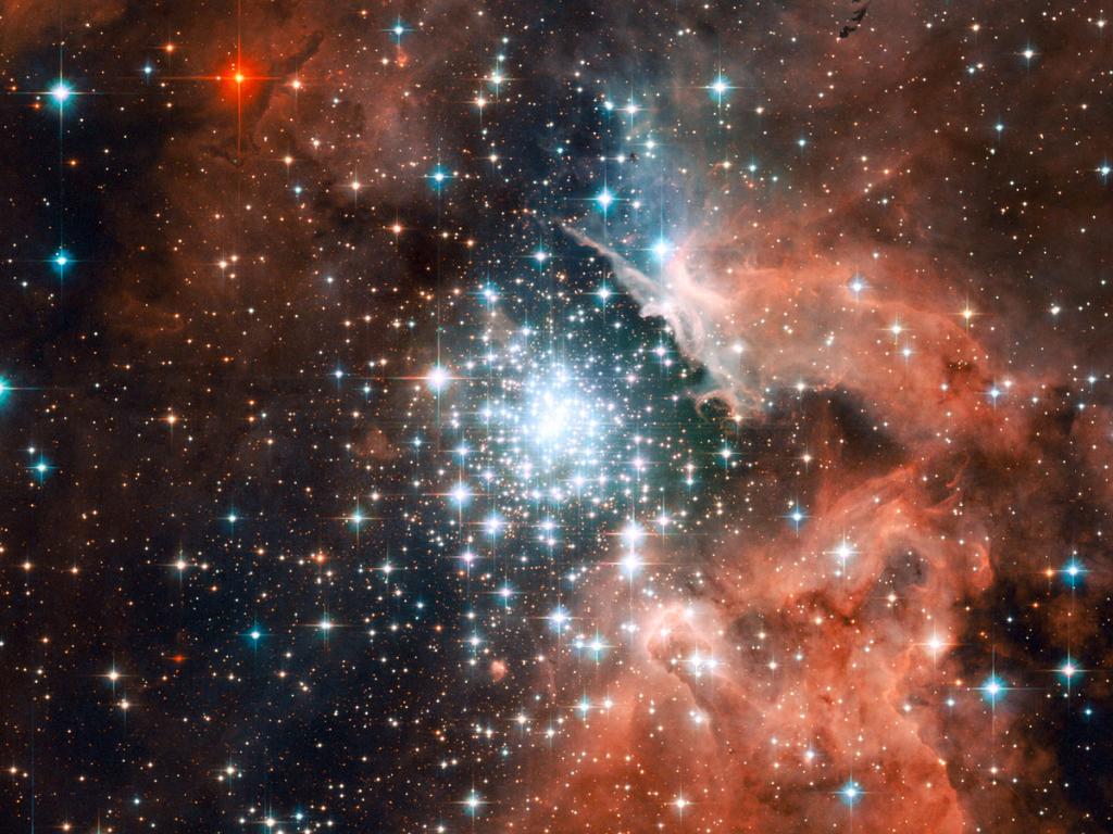 Young stars in a cloud of dust and gas. 