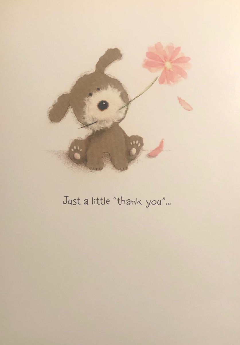 Dutch N’ Such tweet media