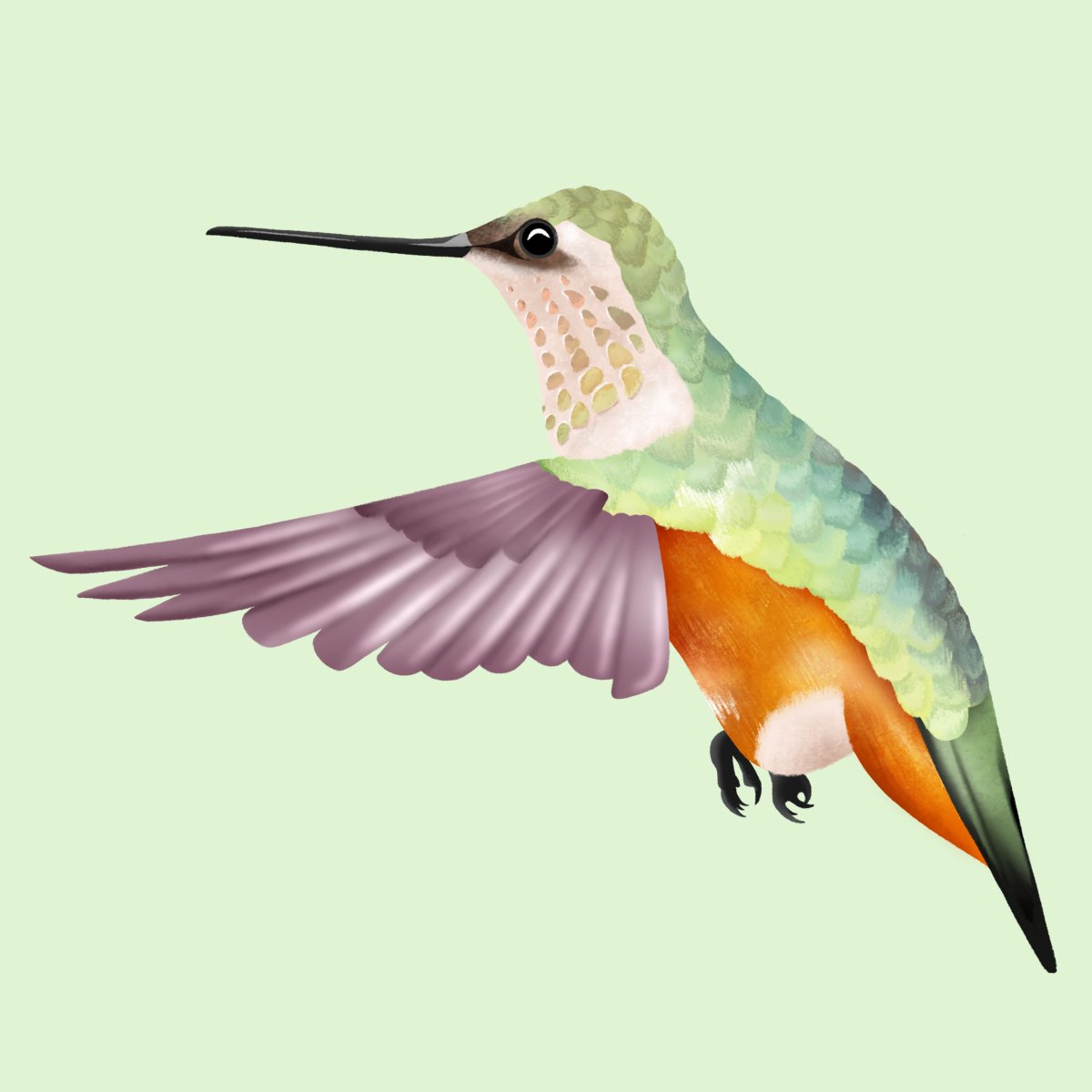 rachillustrate's tweet photo. Been drawing some birds lately 🐦 https://t.co/PbYdaUKsfD