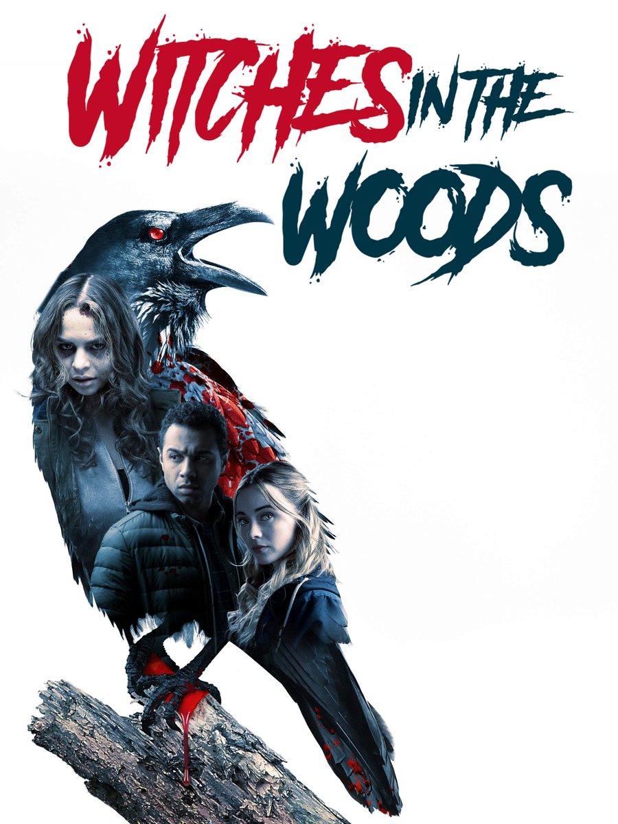 Witches in the Woods (2019)SETUP: Me and the crew decided to take a shortcut to my uncle’s cabin and a sick snowboarding spot, and then there was a witch incident. SOURCE: Showtime