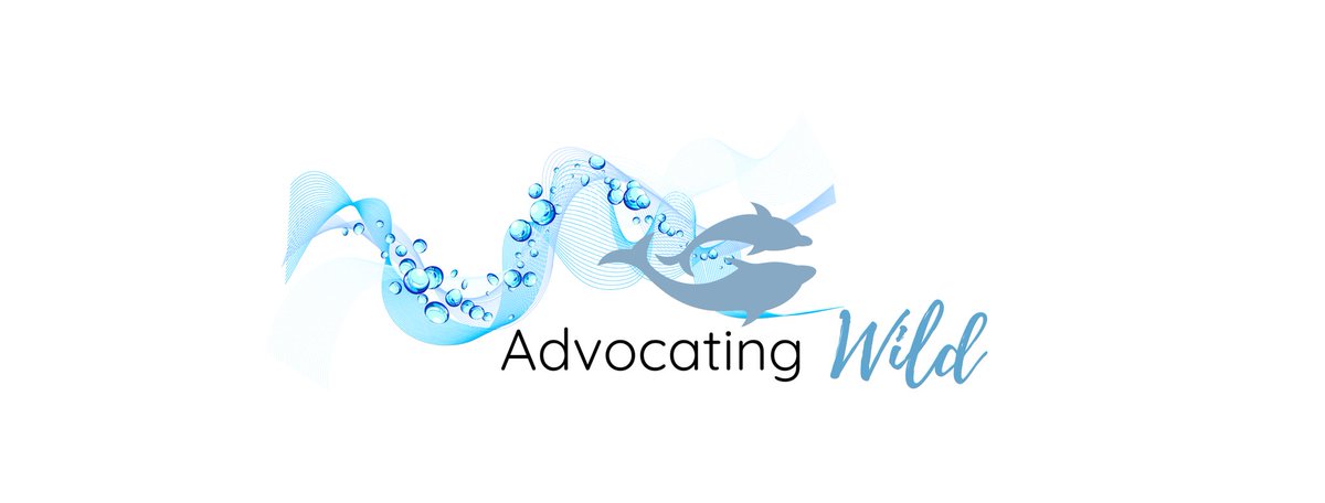 Hey BC friends, please consider following our friends over at <a href="/advocatingwild/">@Advocating 𝓦𝓲𝓵𝓭</a> for the love of #wildlife ! 🐋🐬🦋🦔🦩🦢🦝🦘🦏🦒🐅🐘🦈🦍🐠🦉🐢🌏
