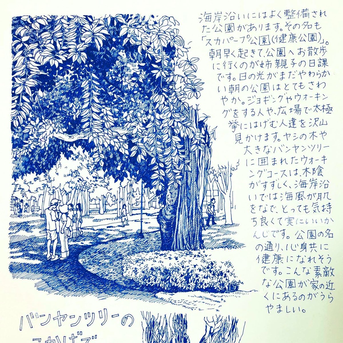 佐藤 右志 Yushi Sato おはようございます 朝らしく爽やかなパンヤンツリーのある公園のタイのイラスト エッセイ 昔の作品 仕事がひと段落したら森林浴がしたいな 今日もステキな一日をお過ごし下さい