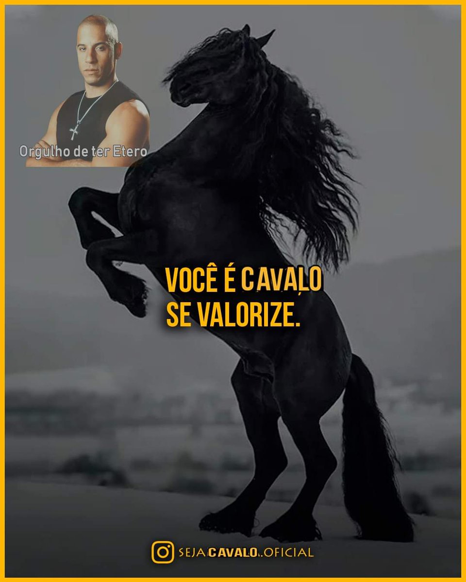 Orgulho de ter Etero tweet media