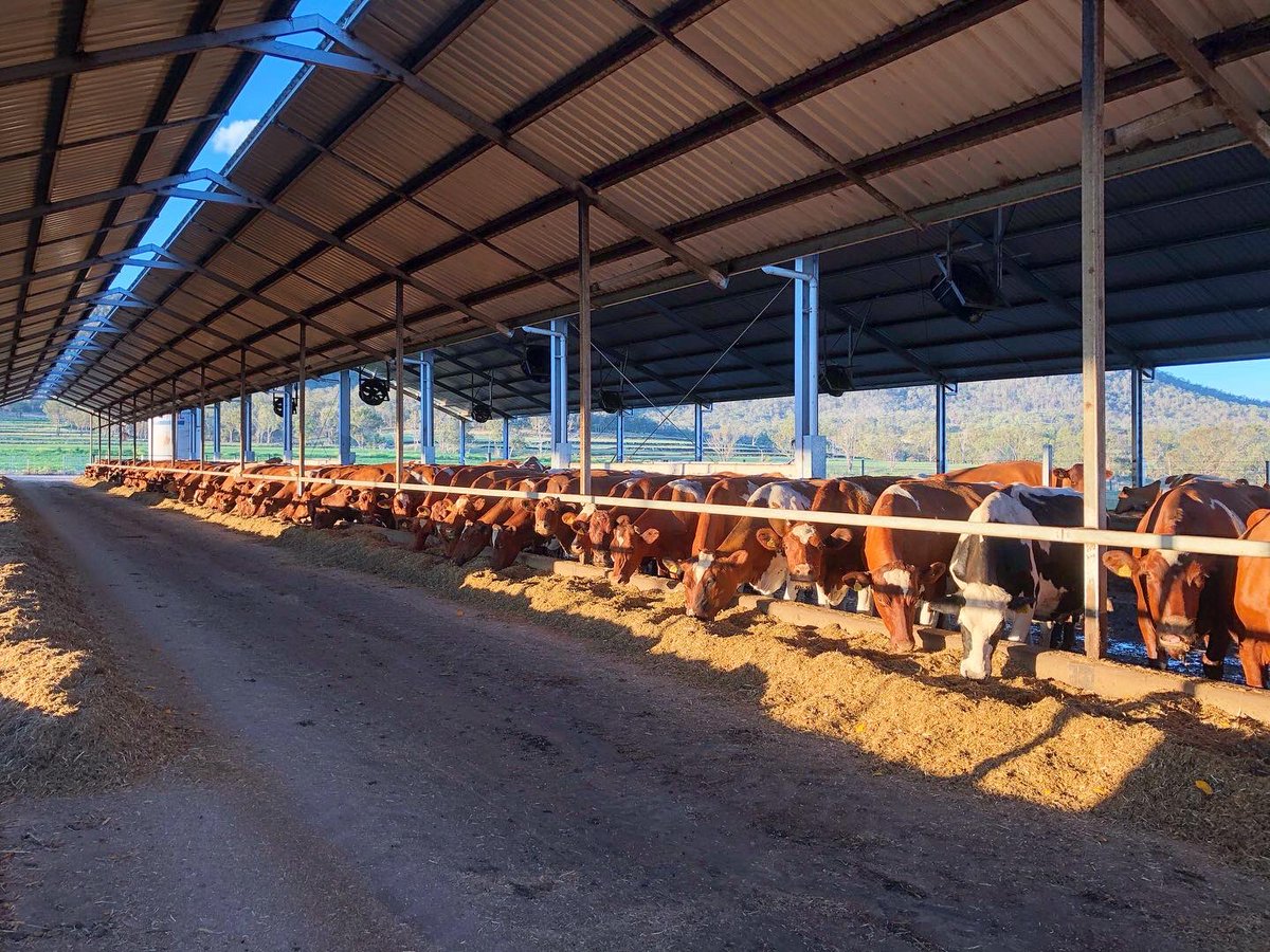 Good morning to everyone except those who don’t buy branded milk 🐮🥛