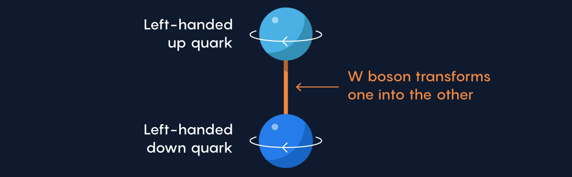 The weak force allows left-handed up and down quarks to transform into each other when they exchange a particle called a W boson. Right-handed quarks can’t do this due to a lack of right-handed W bosons in nature.