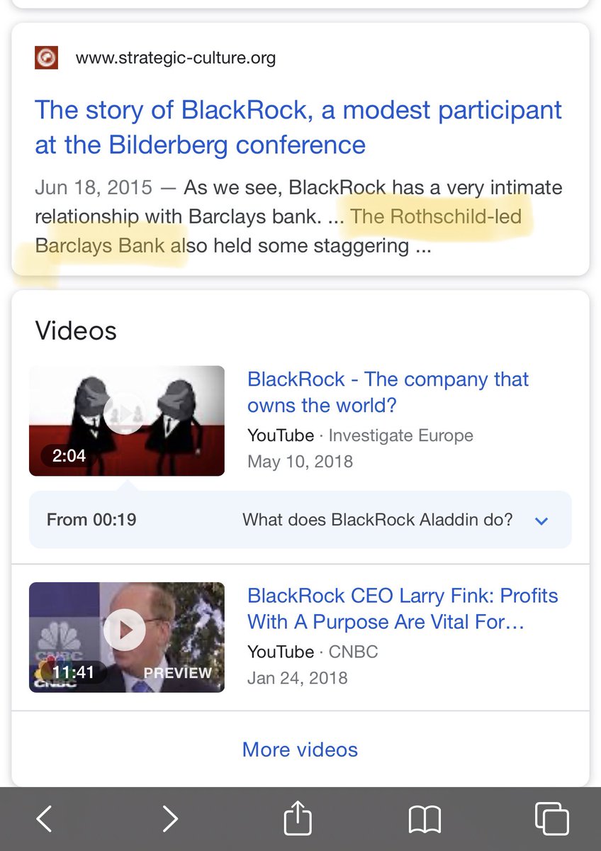As with most of these investment firms when you look closely enough it seems all roads lead to Rothschild. And Larry Fink, who is a kingmaker, seems to also be in business with the Rothschilds.