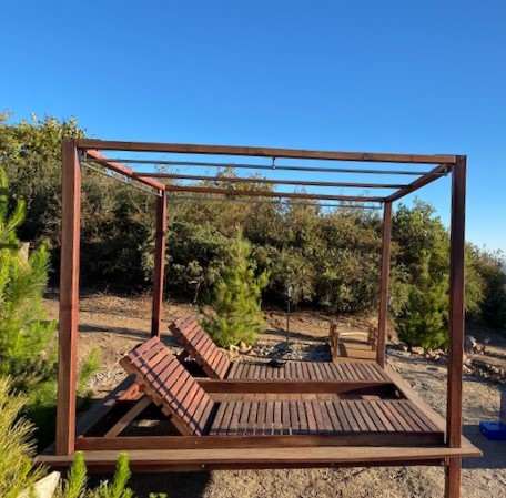 Inner North Star tweet media