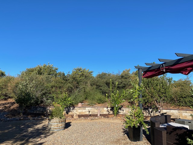 Inner North Star tweet media