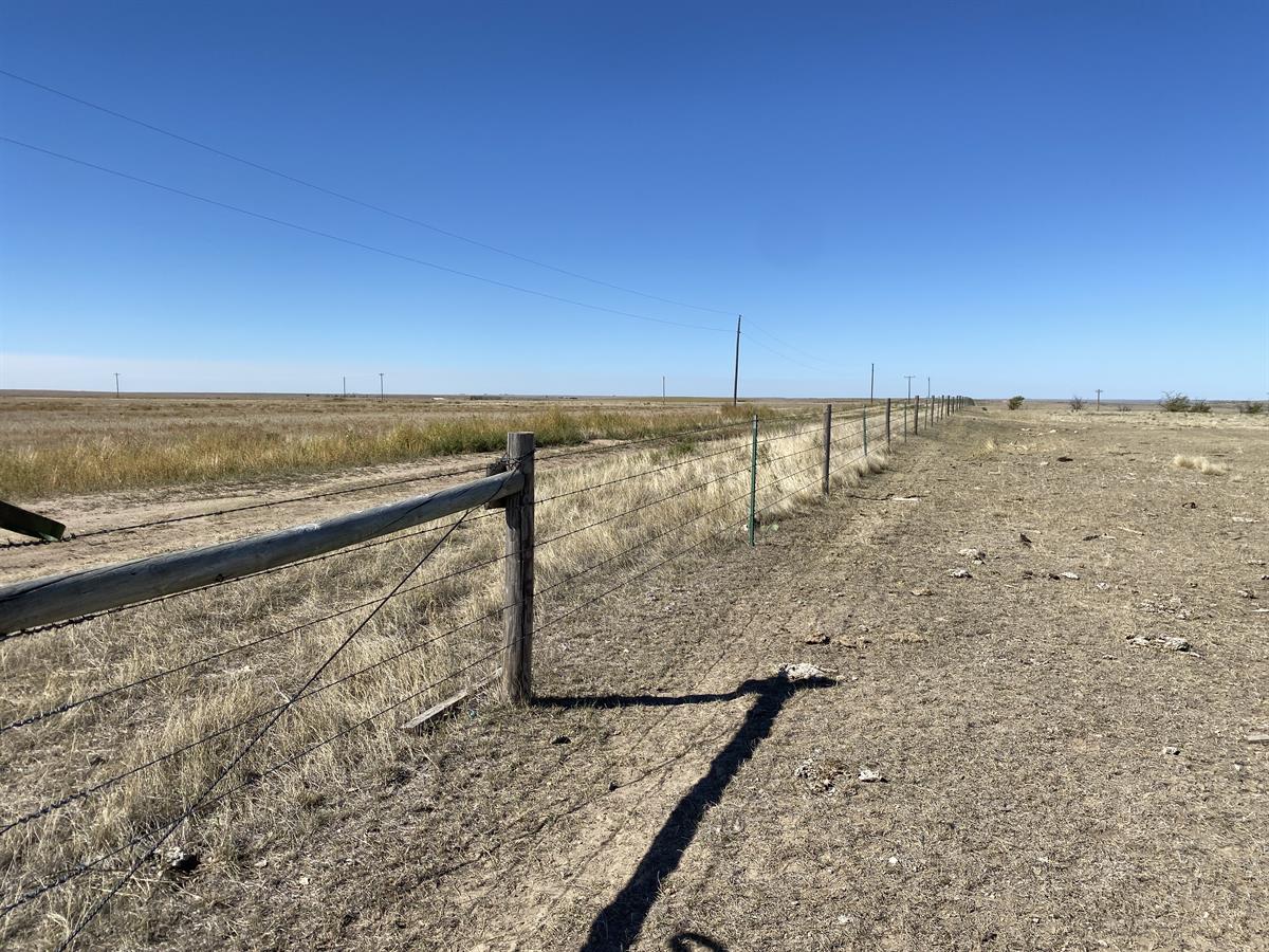 AUCTIONFLIP's tweet photo. Feature #Auction: This 1,141 +/- acre property in Yuma County, CO, will sell Absolute via Online Auction 11/9 - 11/13. Located 2 miles south of the Historic Beecher Island battle site on the Arikaree River. Excellent hunting. Conducted by @rockingxland https://t.co/4Cjf7kUD97 https://t.co/ztizTYxVaZ