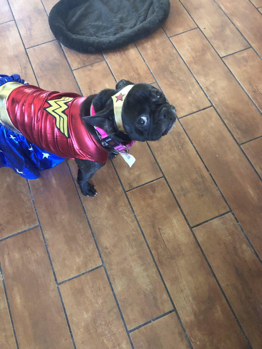 Becky Corallo tweet media