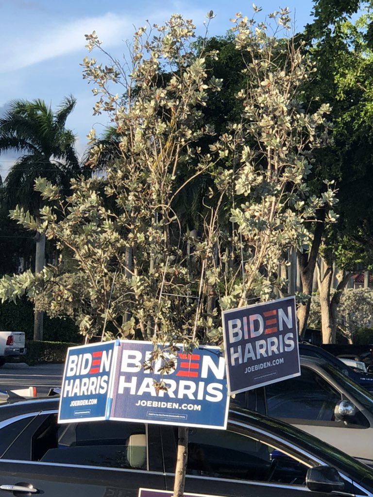 Jon Maples tweet media