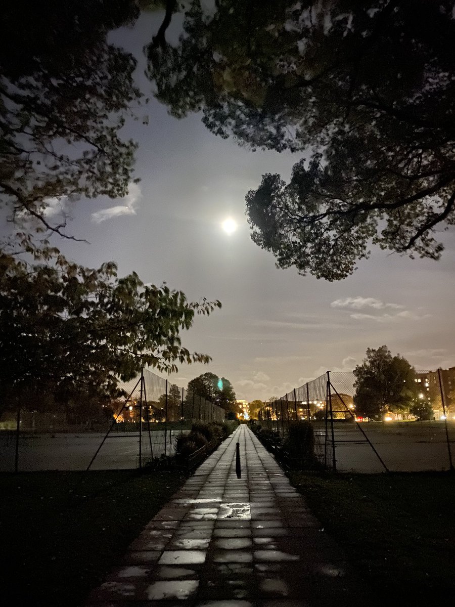 ahumanlovestory's tweet photo. The Moon she dances - Mama Quilla - the road leads towards the village of belonging, where grief is heard, where we can re-member how to walk, talk, jump, play, cry, eat, listen, run, laugh, love...returning to our Indigenous Soul, to that hollow in the earth of stars &amp; dust. https://t.co/8Vuu3FgIIc