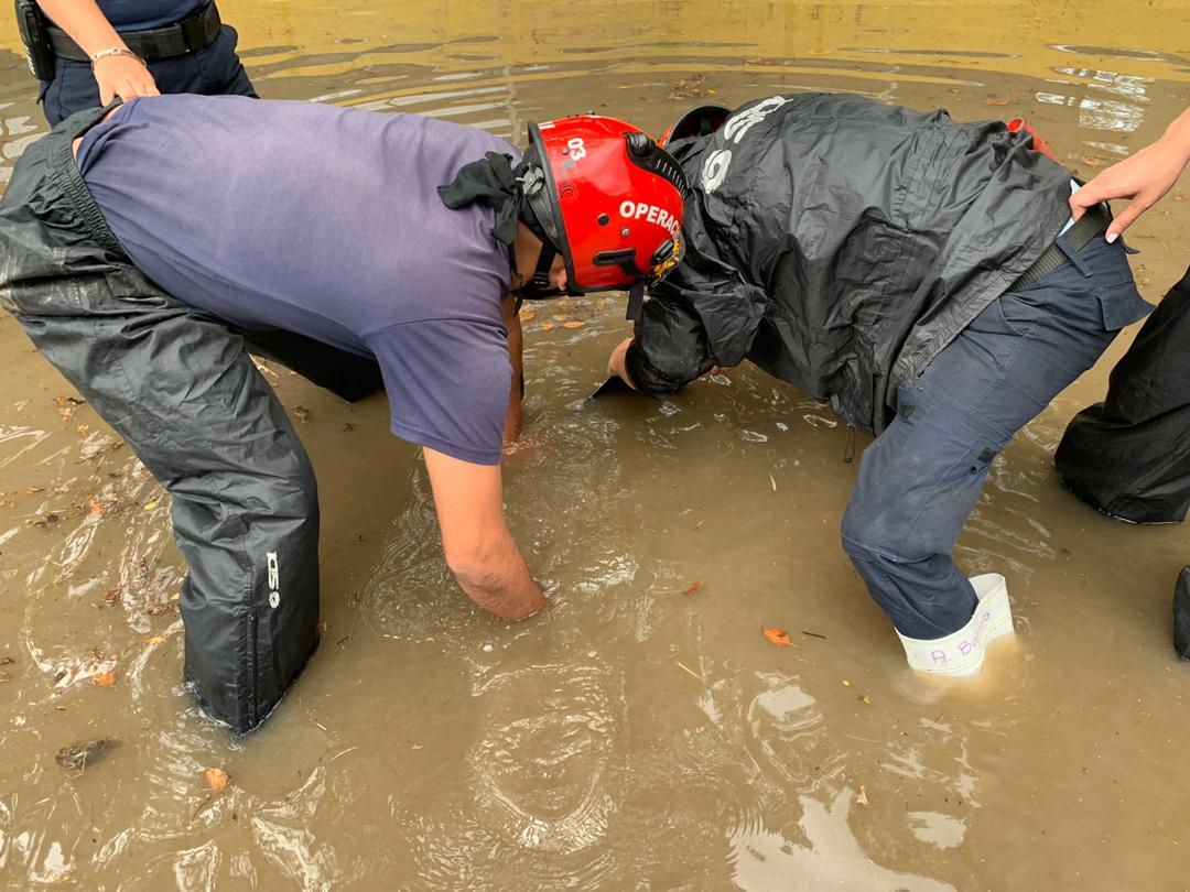 Protección Civil Baruta tweet media