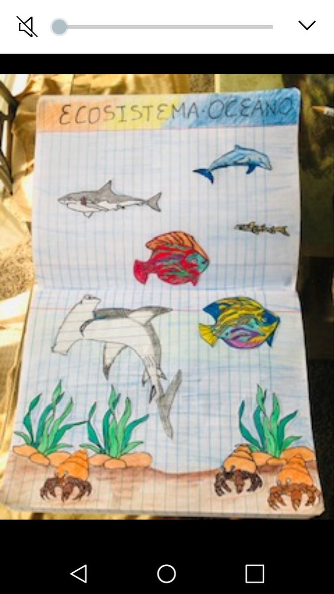 Wanda83852118's tweet photo. Third Graders from the TWI Spanish Program in Braddock ES are proud to show the final product for the ecosystem lesson in Science. https://t.co/E7OSGDvlZX