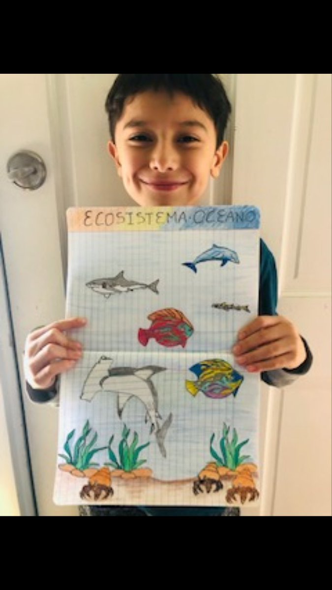 Wanda83852118's tweet photo. Third Graders from the TWI Spanish Program in Braddock ES are proud to show the final product for the ecosystem lesson in Science. https://t.co/E7OSGDvlZX