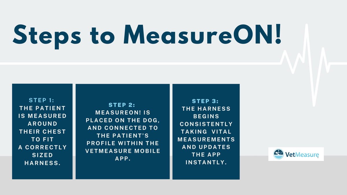 vetmeasure's tweet photo. Three simple steps. That's it! You can modernize your practice today with #MeasureON! in just three simple steps.
https://t.co/jOXMfRR71G https://t.co/48PEDGu0Pq