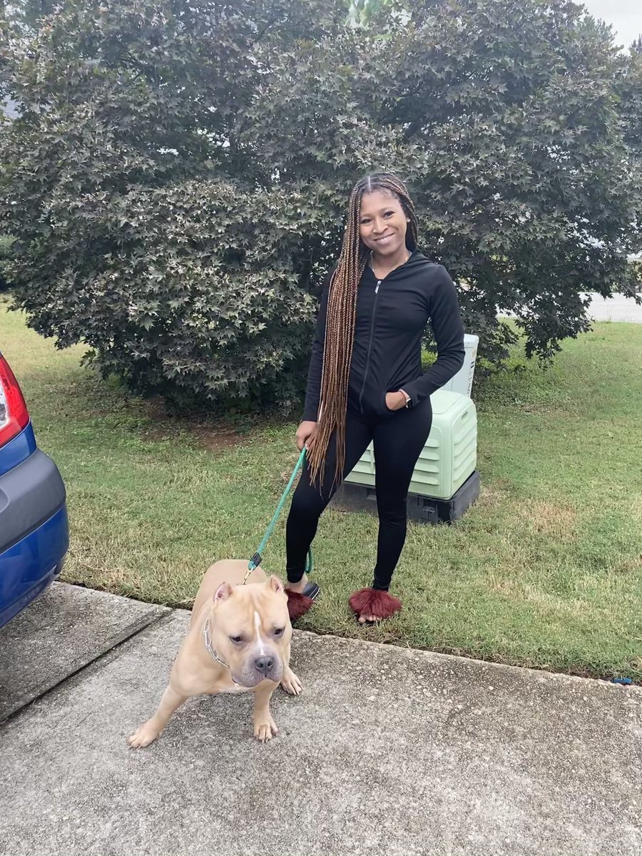 paws_pagesaai's tweet photo. Your favorite dog trainer
#educator #earlychildhood #specialeducation #tutor #animallover #dogtraining #doglover #emotionalsupportanimals #therapydogs #cute #dogslife #teaching #teacher #education #learning #makelearningfun #love #dogtrainer #explore #girlsdecoy #decoytraining https://t.co/AG44Wv9WtS