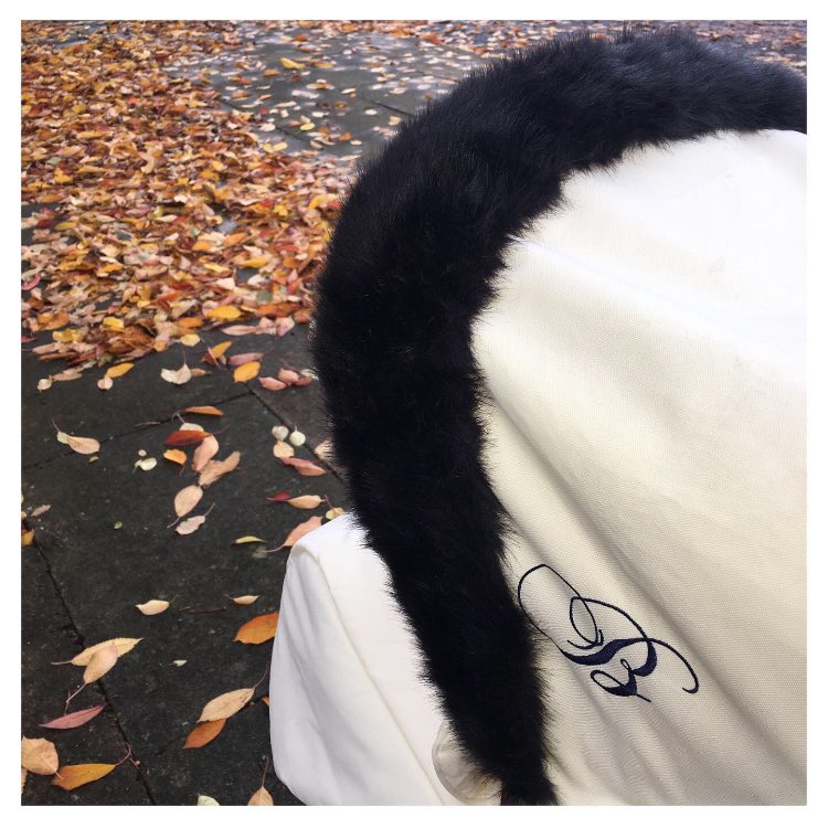 Chloejadeburkey's tweet photo. 🍂 𝙰 𝚄 𝚃 𝚄 𝙼 𝙽 • 𝚆 𝙰 𝙻 𝙺 🍂 
𝙴𝚗𝚓𝚘𝚢𝚎𝚍 𝚐𝚘𝚒𝚗𝚐 𝚏𝚘𝚛 𝚊 𝚕𝚒𝚝𝚝𝚕𝚎 𝚠𝚊𝚕𝚔 𝚘𝚞𝚝 𝚠𝚒𝚝𝚑 𝚊𝚕𝚕 𝚝𝚑𝚎 𝚕𝚎𝚊𝚟𝚎𝚜 𝚏𝚊𝚕𝚕𝚒𝚗𝚐 𝚘𝚏𝚏 𝚝𝚑𝚎 𝚝𝚛𝚎𝚎𝚜 https://t.co/ddVmRLMksp
