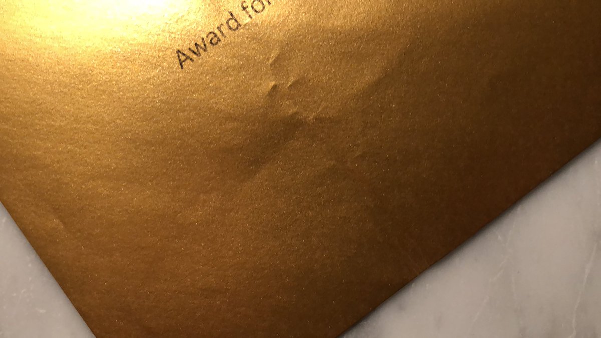 AprilArchivist's tweet photo. The excitement is palpable!!!! Only a week before the @dpc_chat awards on World Digital Preservation Day!!! #wdpd2020 #goldenenvelope https://t.co/RfDFCkzfWg