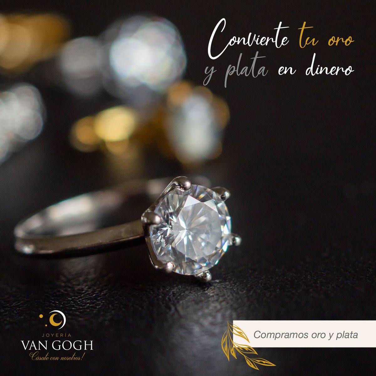 joyeriavangogh's tweet photo. Av. Abraham Lincoln 609 Plaza Alexandra, Naco. Santo Domingo Whatsapp 809-222-5072, 829-586–4123 y 849-656-5534 https://t.co/nygu0sapTx