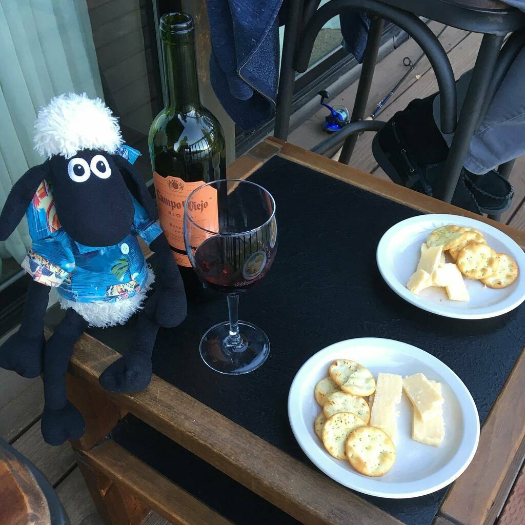 Annettehelen's tweet photo. Wine time!! #cheeseandwine #sunset #campoviejo #plushiesofinstagram #shaunthesheep https://t.co/5JFjujOG2y https://t.co/bpZhdDfbzE